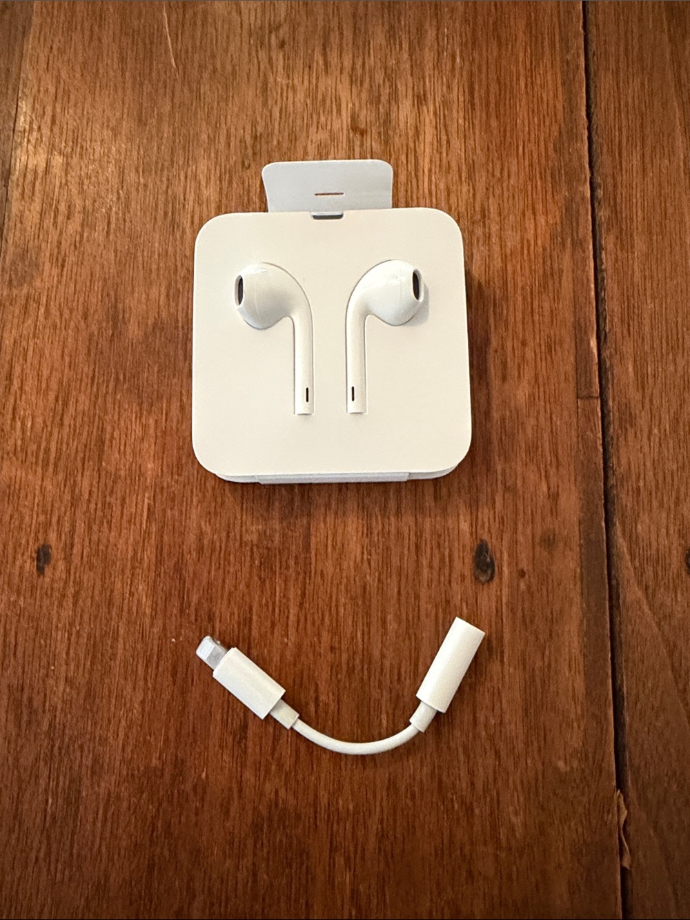 Apple Lightning Accessories - Wired Ear Buds and Ear Phone Adapter